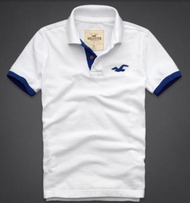 Hollister Men Shirts-396